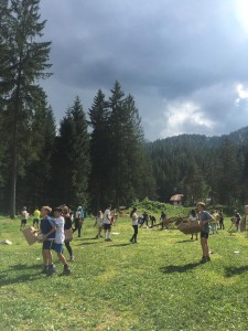 IMG-20190705-WA0128